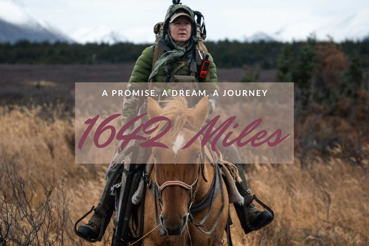 Woman hunter on horseback overlooking the outdoors, representing A Promise, A Dream, A Journey — a 1,642-mile adventure filled with determination, passion, and the pursuit of the hunt.