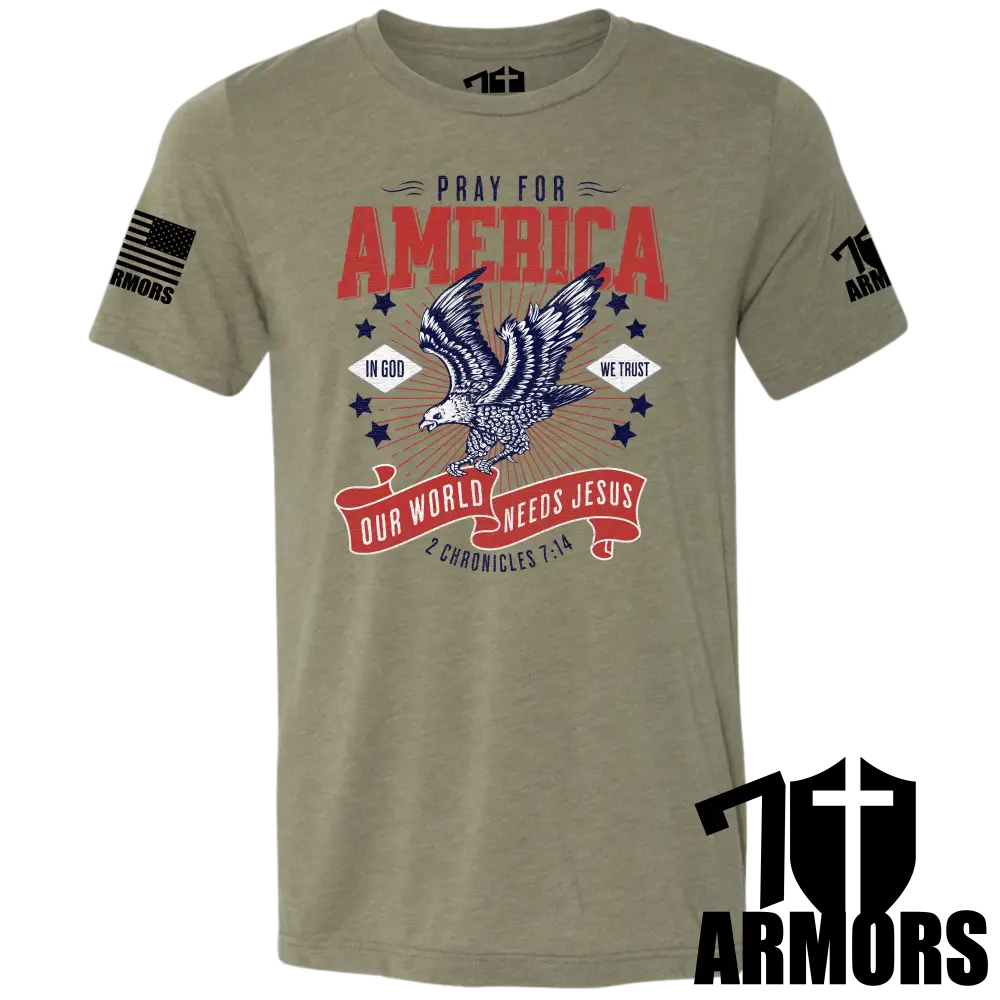 AMERICA NEEDS JESUS T-SHIRT