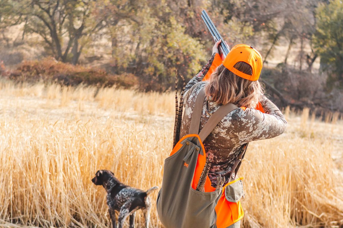 Dove Hunting