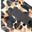 Cheetah Print