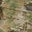 Multicam